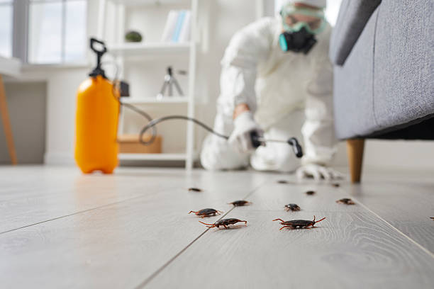 Commercial Kitchen Cockroach Control in Gateway